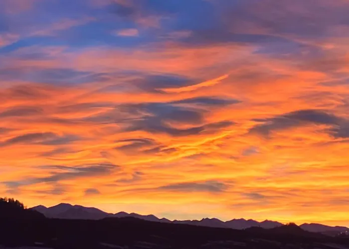 Jagi チョルシュティン